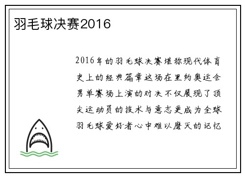 羽毛球决赛2016