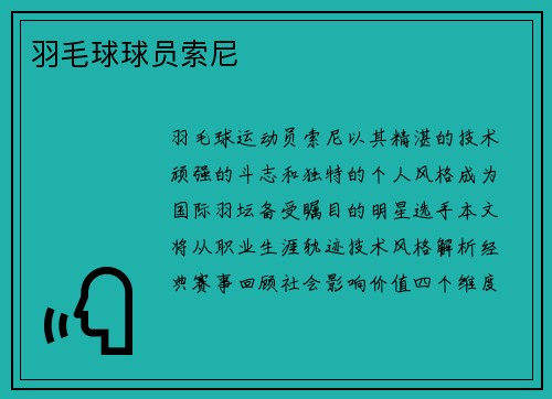 羽毛球球员索尼